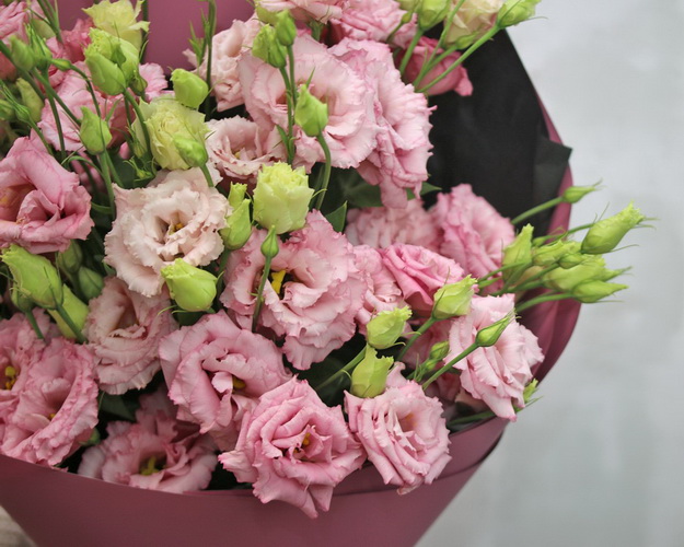 Букет із 15 рожевих еустом у стильній упаковці.