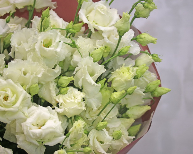 Букет з 25 білих еустом у стильній упаковці.