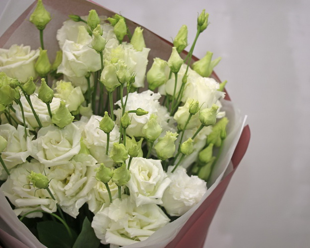 Букет з 11 білих еустом у стильній упаковці.