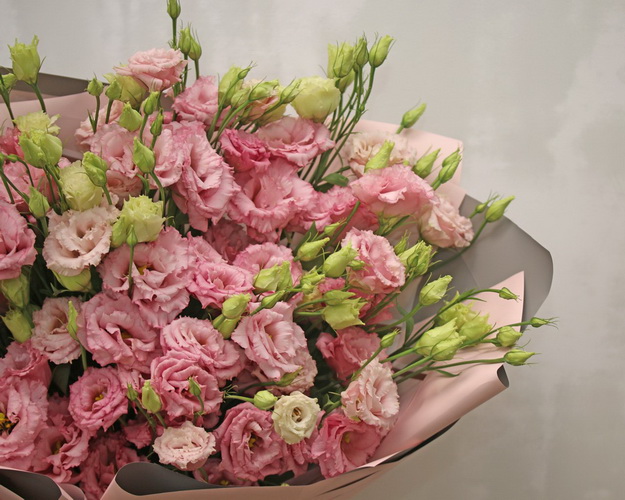 Букет із 25 рожевих еустом у стильній упаковці.