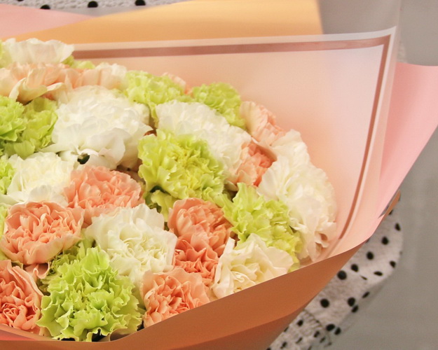 Букет з 51 діантуса (гвоздики) ніжний мікс у дизайнерській упаковці