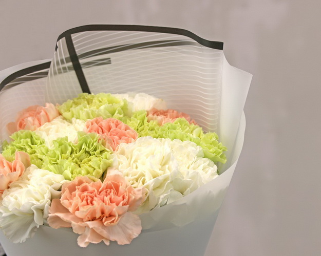 Букет з 15 діантусів (гвоздик) мікс у стильній упаковці