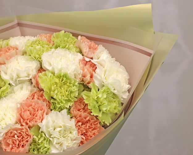 Букет з 35 діантусів (гвоздик) мікс у стильній упаковці