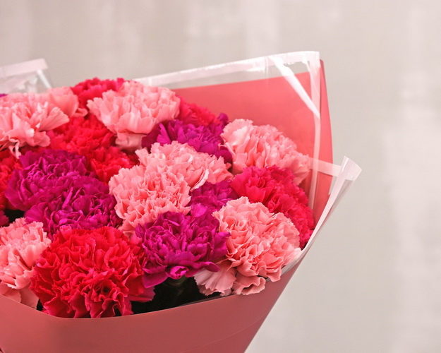 Букет з 25 діантусів (гвоздик) мікс у стильній упаковці