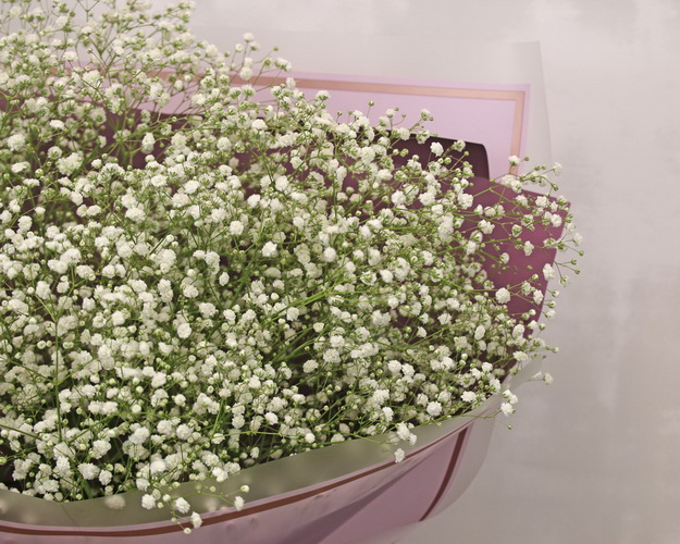 Букет із гіпсофілу Перша роса