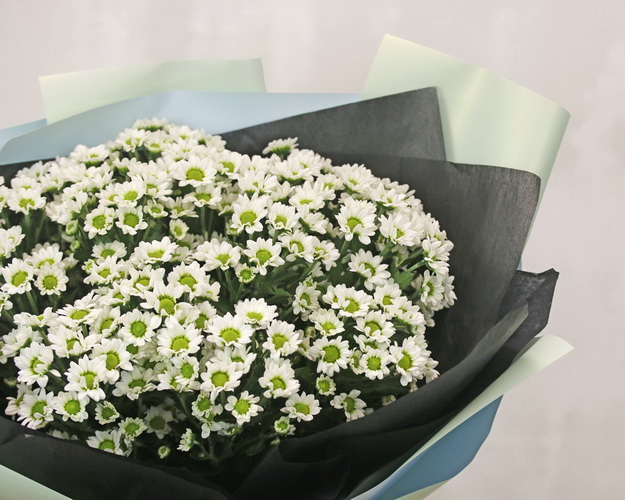 Букет із 15 білих кущових хризантем в стильній упаковці