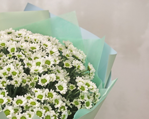 Букет із 25 білих кущових хризантем в стильній упаковці