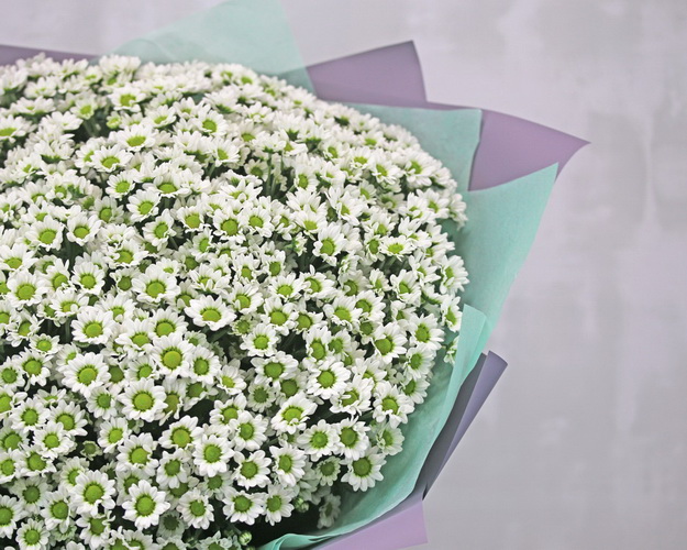 Букет із 51 білої кущової хризантеми в стильній упаковці