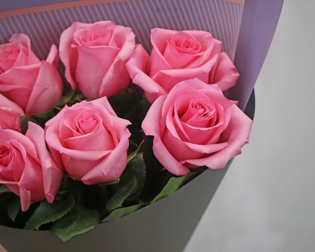 Букет із 7 рожевих імпортних троянд в упакуванні