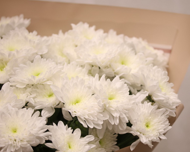 Букет із 7 білих кущових хризантем у стильній упаковці.