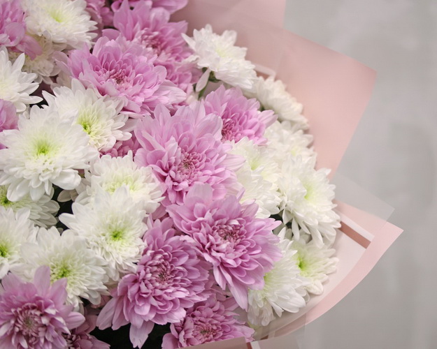 Букет з 15 хризантем кущових ніжний мікс в стильній упаковці