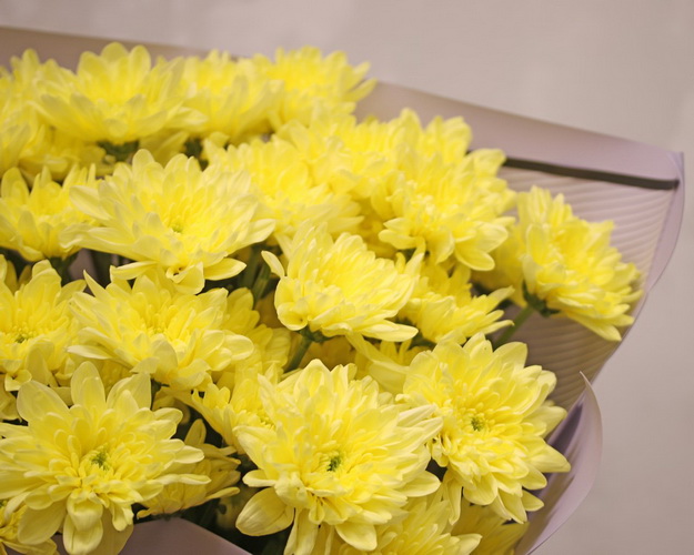 Букет із 9 жовтих кущових хризантем у стильній упаковці.