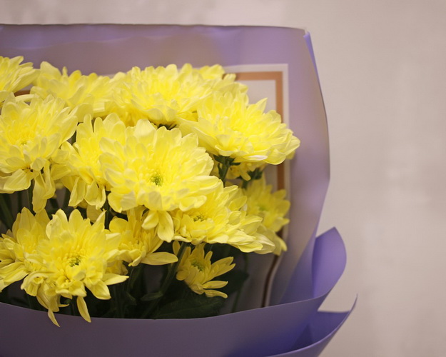 Букет із 3 жовтих кущових хризантем у стильній упаковці.