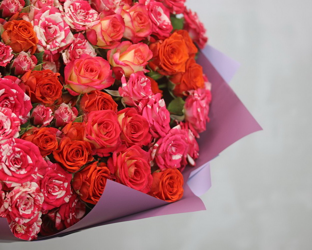 Букет з 25 кущових мік червоних троянд в упакуванні