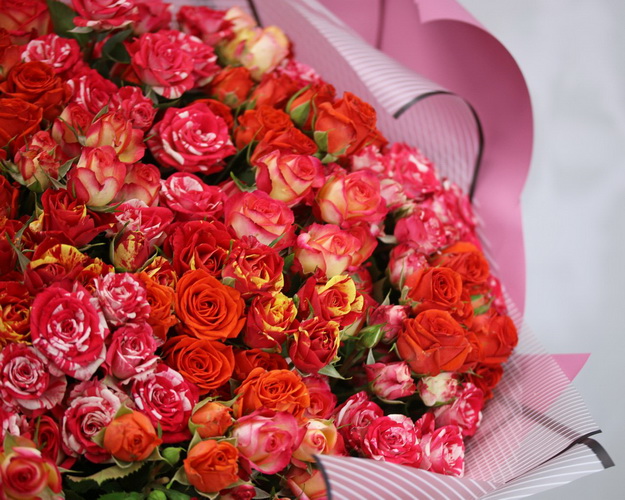 Букет кущових Червоний мікс