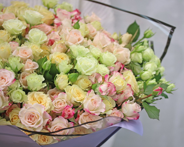 Букет із 51 кущової троянди ніжний мікс у стильній упаковці
