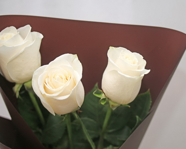 Букет із 3 білих троянд в упакуванні