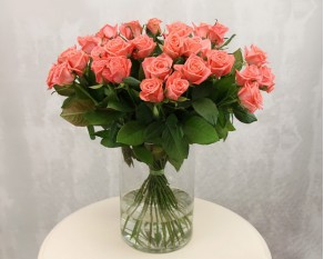 Троянда коралова від 60 см