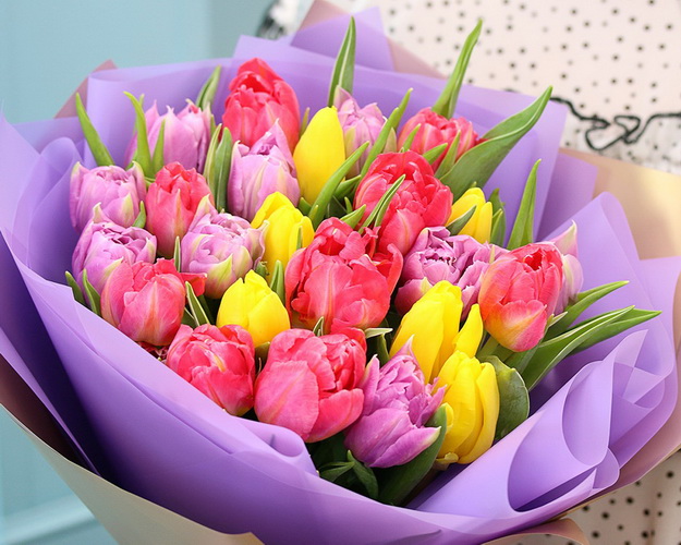 Букет із 25 піоноподібних тюльпанів яскравий мікс у фіолетовій упаковці