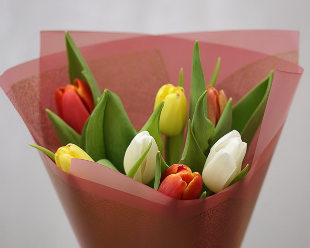 Букет комплімент 7 тюльпанів у стильній упаковці