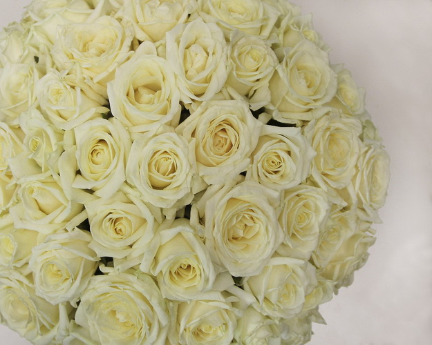 Букет у капелюшній коробці Білий Амур