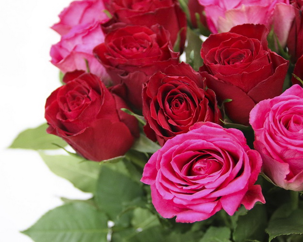 Букет з 15 троянд червоний мікс під стрічку