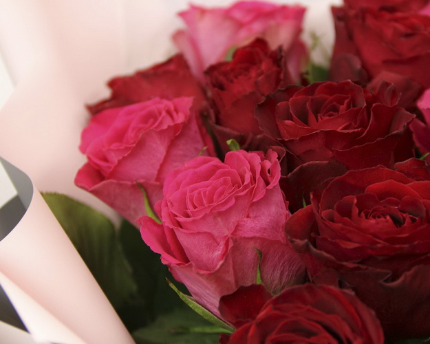 Букет з 25 червоних та рожевих троянд мікс 35-40 см (Кенія) у стильній упаковці