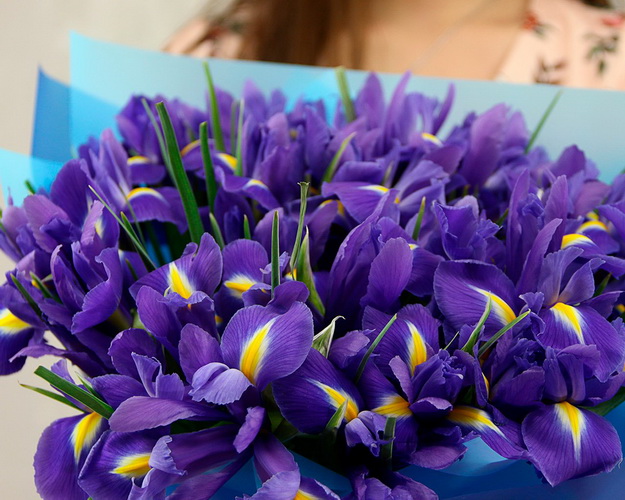 Букет із 35 ірисів у стильній упаковці.