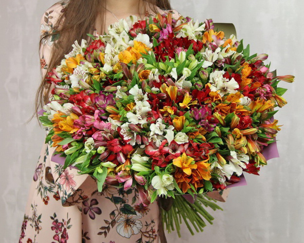 Букет із 101 яскравої альстромерії мікс у стильній упаковці.
