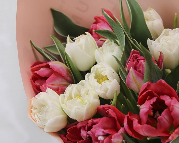 Букет піоноподібних тюльпанів мікс