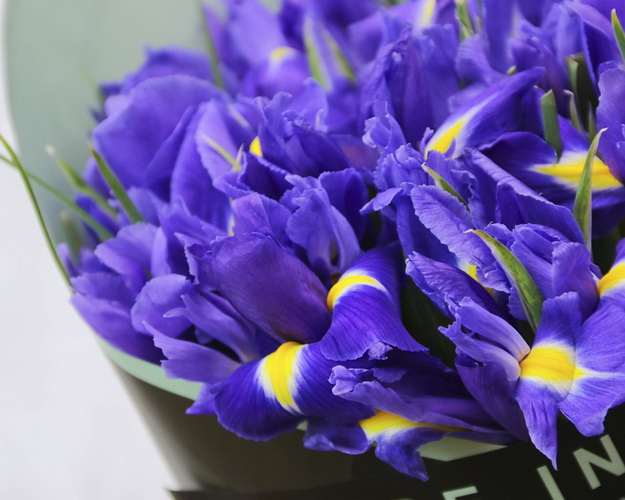 Букет Іриска