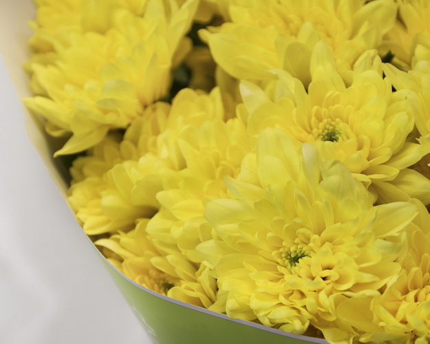 Букет хризентем Сонячний