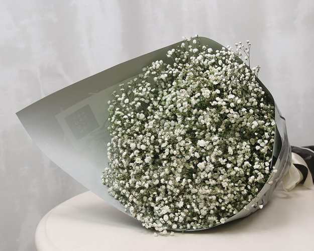 Букет гіпсофіл Весняний