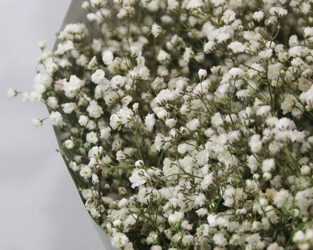 Букет гіпсофіл Весняний