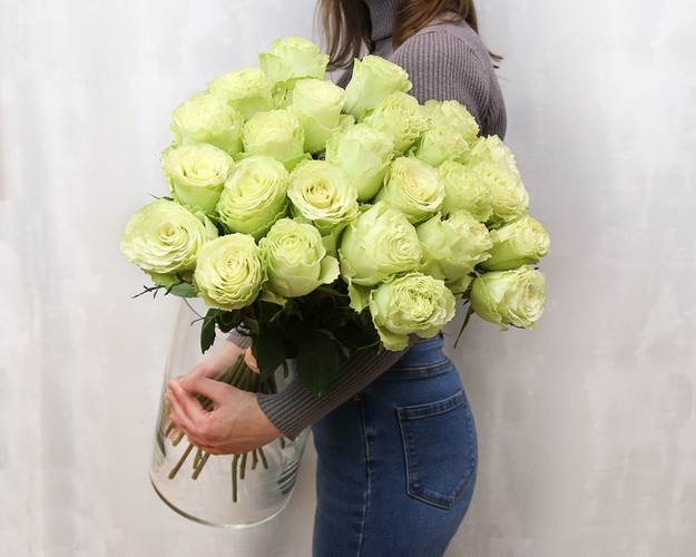 Троянда Еквадор зелена