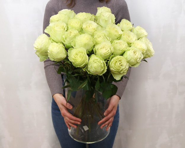 Троянда Еквадор зелена