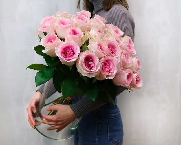 Троянда Еквадор молочно-рожева