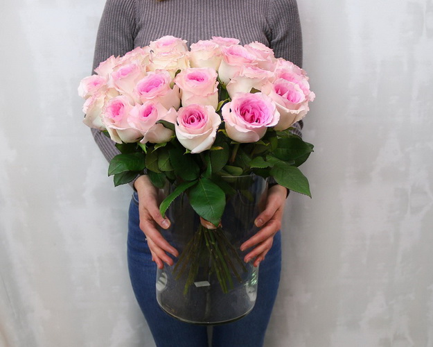 Троянда Еквадор молочно-рожева