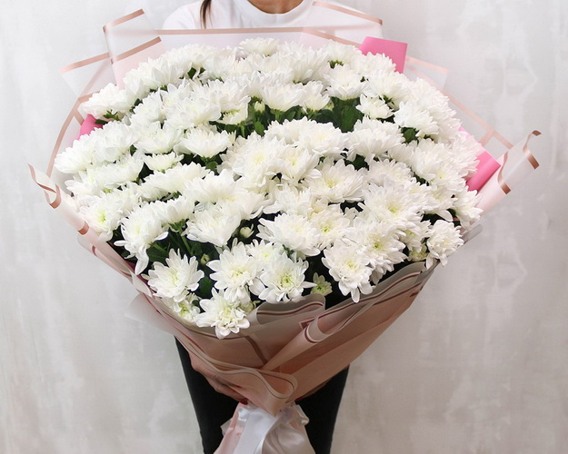 Букет із 25 білих кущових хризантем в стильній упаковці