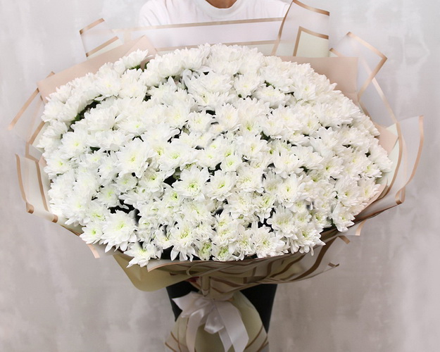 Букет із 35 білих кущових хризантем в стильній упаковці