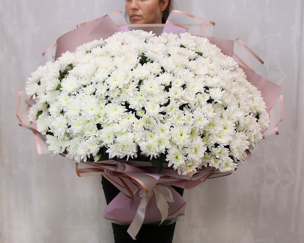 Букет з 51 білої хризантеми кущової в стильній упаковці.