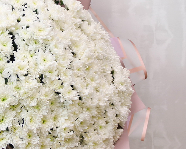 Букет з 51 білої хризантеми кущової в стильній упаковці.