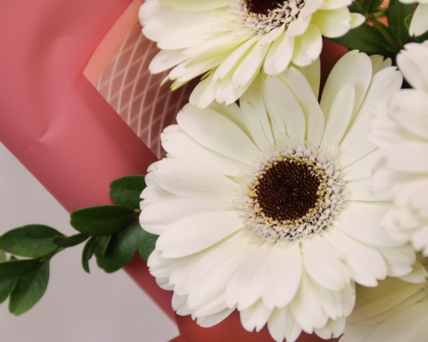 Букет із 9 білих міні гербер у стильній упаковці із зеленню