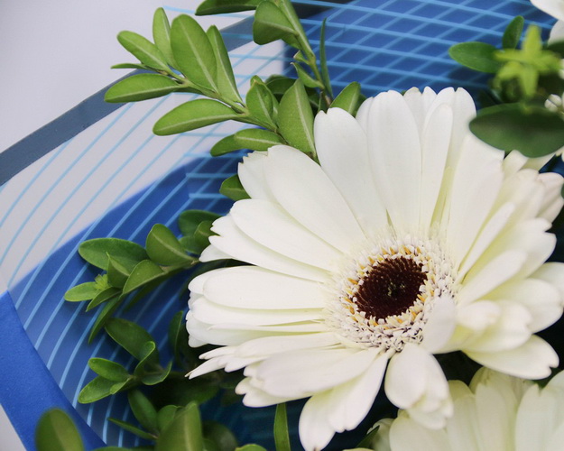 Букет із 7 білих міні гербер у стильній упаковці із зеленню