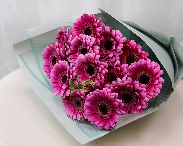 Букет із 15 малинових міні гербер у стильній упаковці із зеленню.