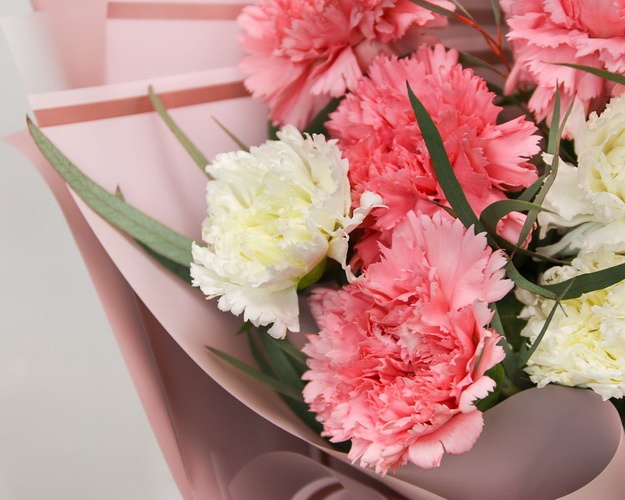 Букет із 15 рожевих та білих гвоздик у стильній упаковці із зеленню.