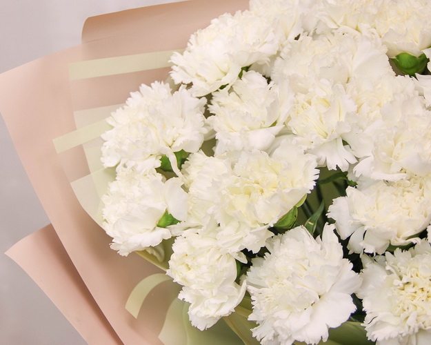 Букет із 25 білих гвоздик у стильній упаковці.