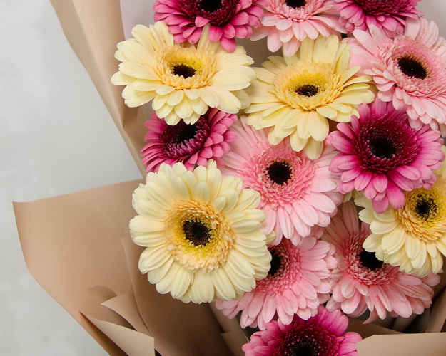 Букет із 15 міні гербер мікс у стильній упаковці