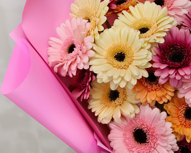 Букет із 25 міні гербер мікс у стильній упаковці