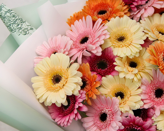 Букет із 35 міні гербер мікс у стильній упаковці